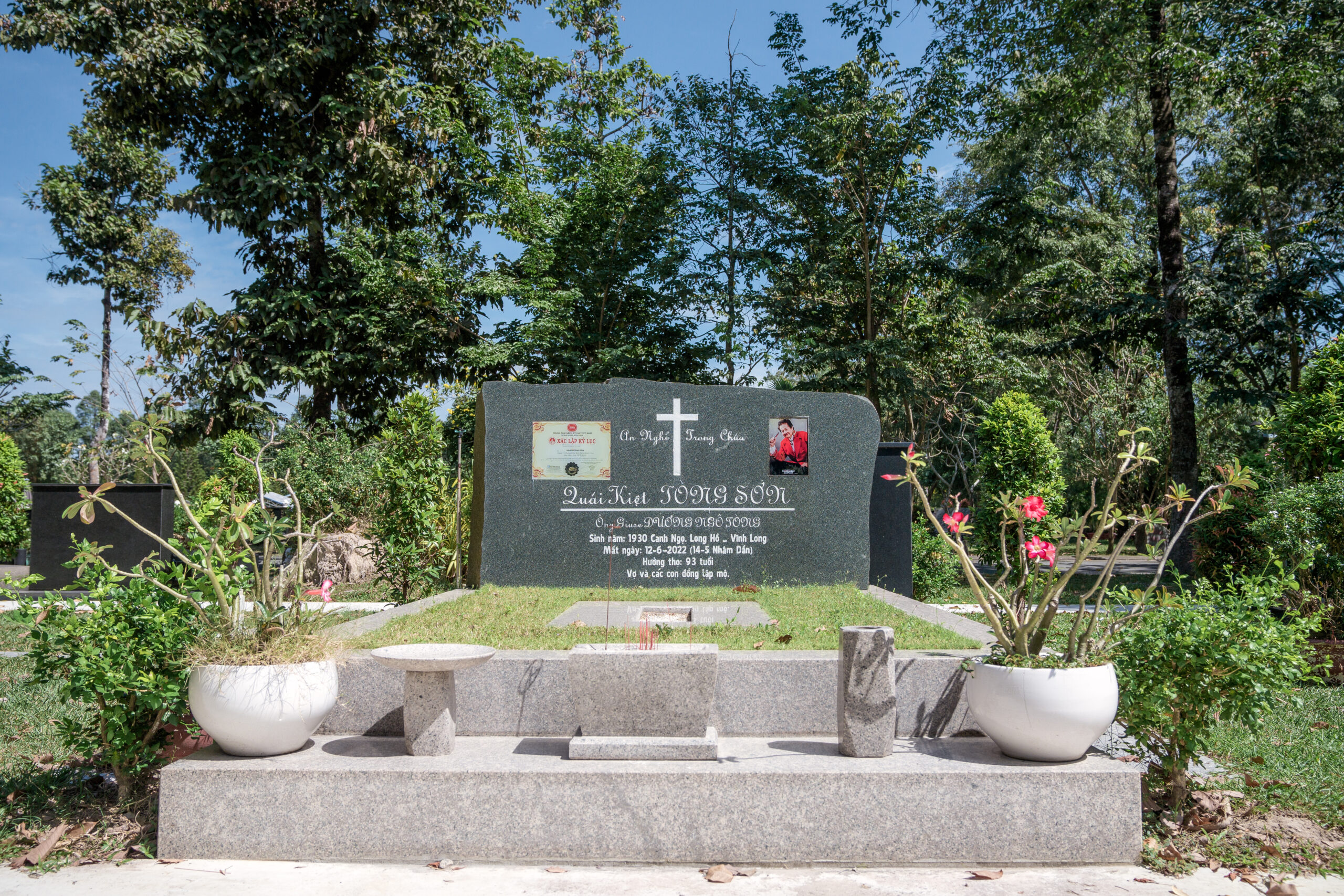 Dich vu tu van va xay mo